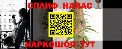 Альфа ПВП Гатчина