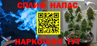 Альфа ПВП Гатчина