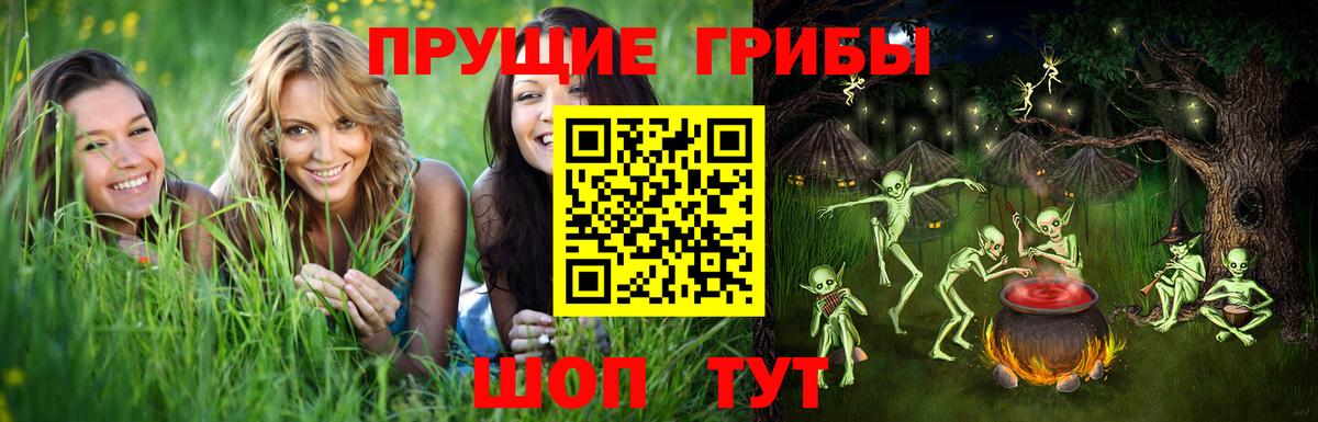Псилоцибиновые грибы Psilocybe Мытищи