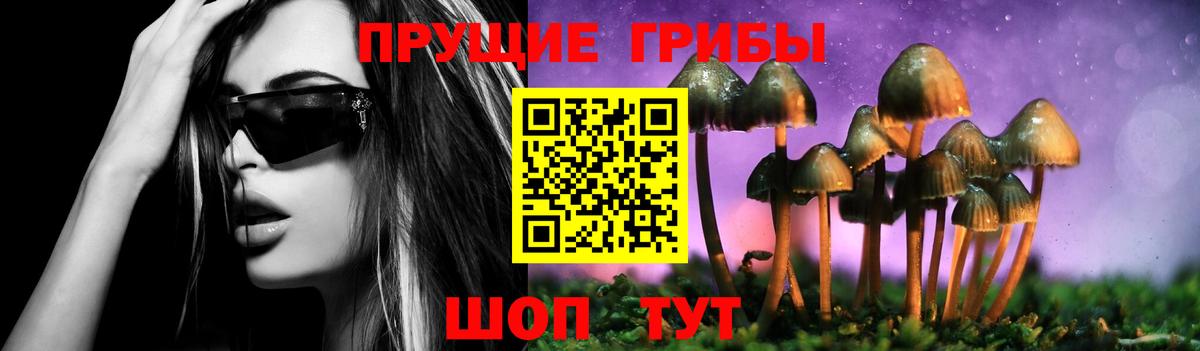 Галлюциногенные грибы прущие грибы  Вход с VPN  Псилоцибиновые грибы MAGIC MUSHROOMS  Мытищи 